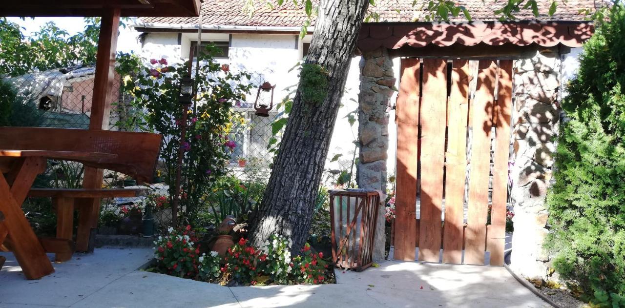 Balla House Bed & Breakfast Tărcaia Exterior foto