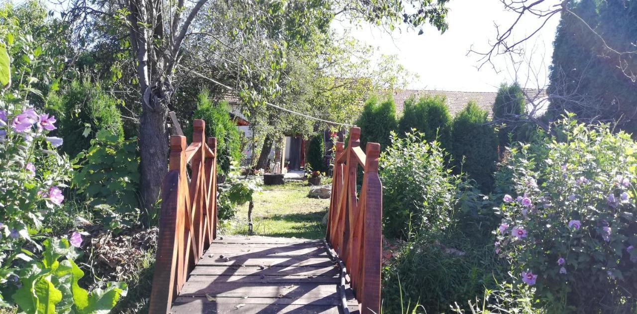 Balla House Bed & Breakfast Tărcaia Exterior foto