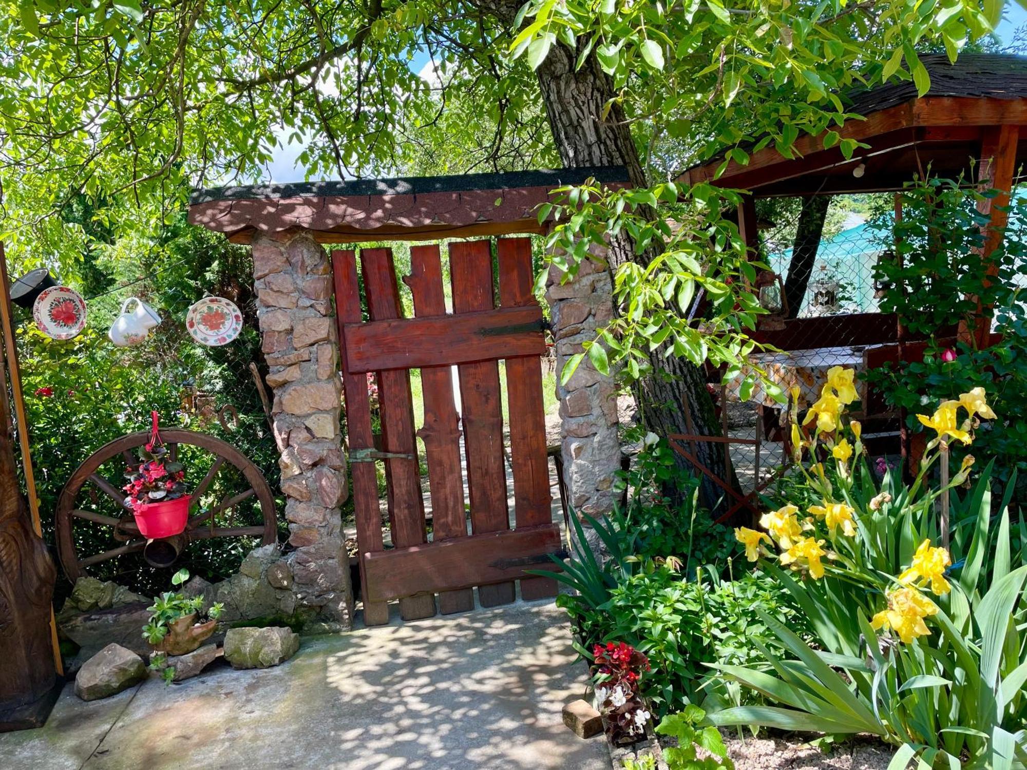 Balla House Bed & Breakfast Tărcaia Exterior foto
